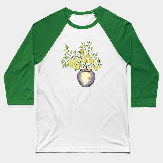 Lemon Tree in a Pot Baseball T-Shirt by Flowersforbear